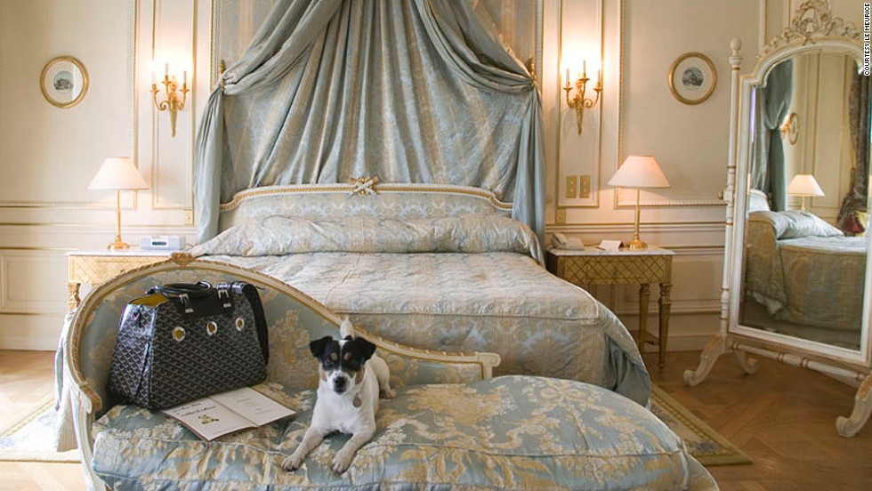 World's Best Dog Friendly Luxury Hotels - Free Travel, Use Points And Miles